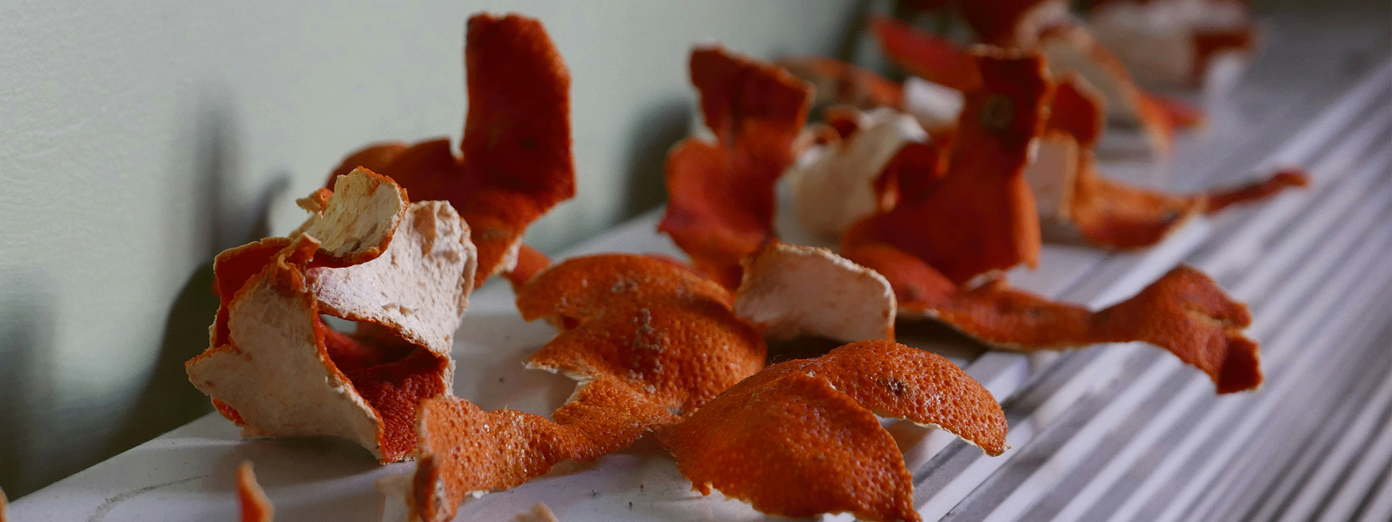 Why Orange Peel Oil Is a Game-Changer for Radiant Skin